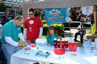 Brickell Bay Animal Hospital